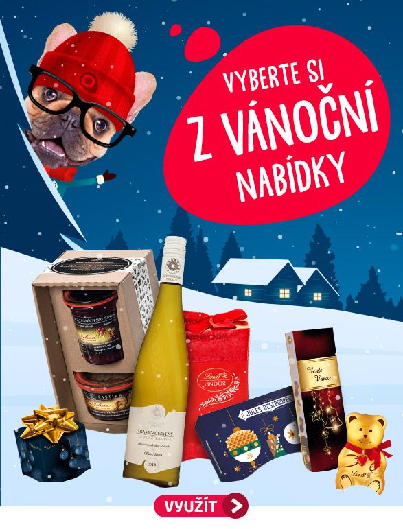 VÁNOČNÍ NABÍDKA