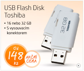 USB Flash Disk