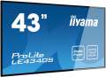 43"iiyama LE4340S-B1 - LED monitor