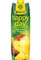 Džus HAPPY DAY - ananas 100%, 1 l