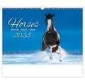 Nástěnný kalendář 2023 Horses Dreaming