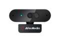 AVerMedia PW310P