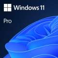 Microsoft Windows 11 Pro EN (OEM)