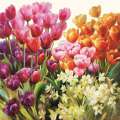 Ubrousky barevné tulipány, 33 x 33cm, 20 ks
