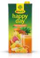 Džus HAPPY DAY - multivitamín 100 %, 2 l