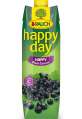 Džus Happy Day - černý rybíz, 1 l