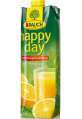 Džus HAPPY DAY - pomeranč s dužinou 100 %, 1 l