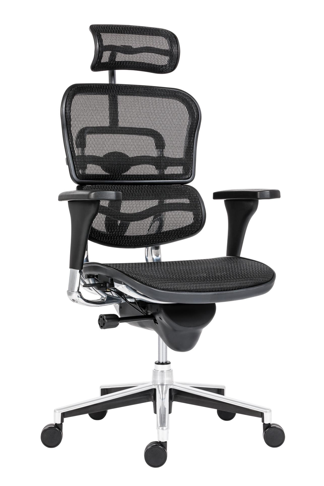 Antares Kancelářská židle Ergohuman - síťovaná, synchro, černá