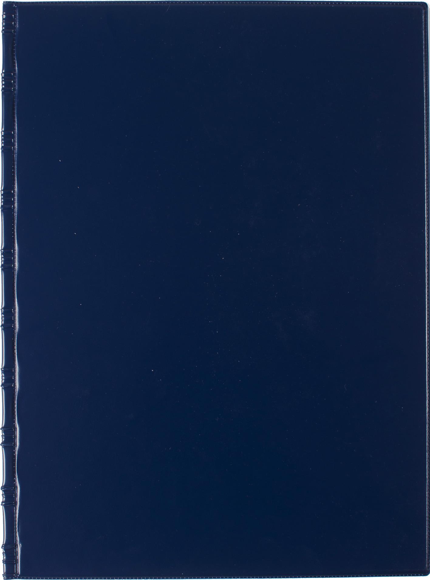 Karton P+P Uzavíratelné desky SPORO - A4, spodní plastové kapsy, modré